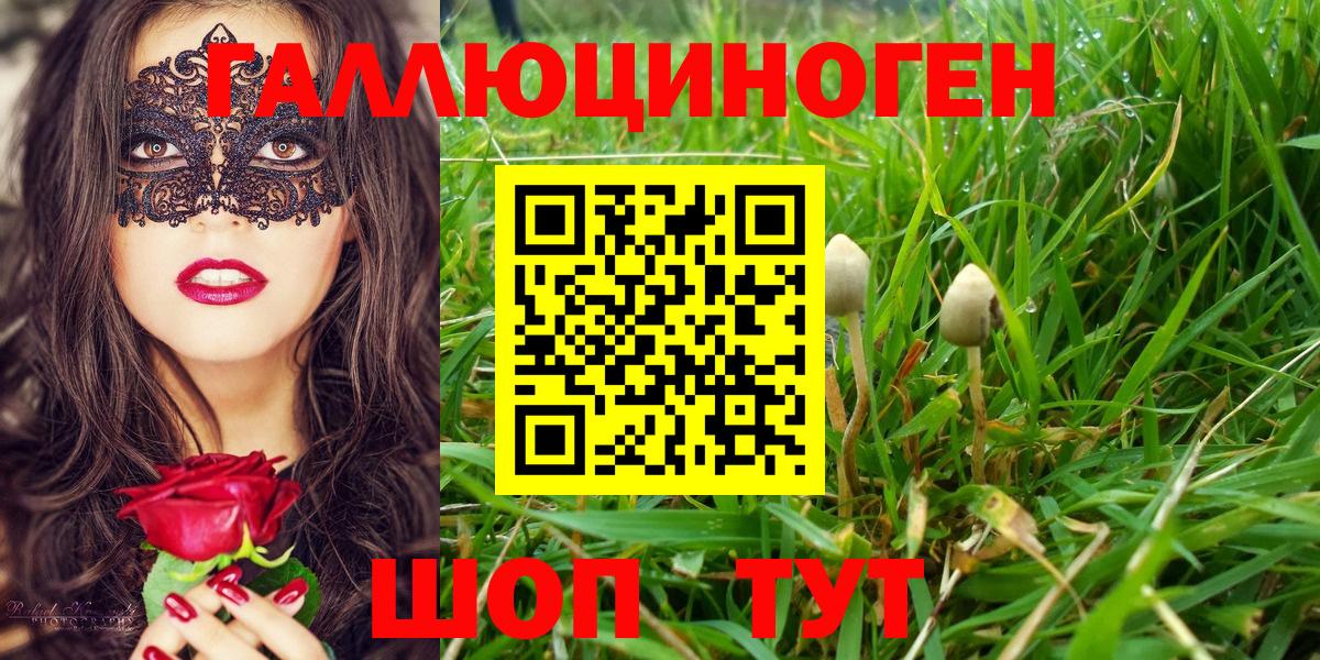 Балашов  Псилоцибиновые грибы мухоморы  Псилоцибиновые грибы Magic Shrooms  Вход с VPN 